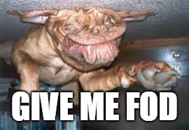 GIVE ME FOD | image tagged in dog | made w/ Imgflip meme maker