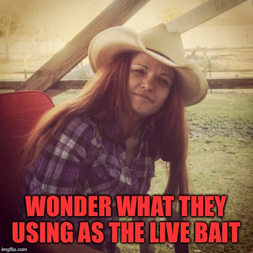 WONDER WHAT THEY USING AS THE LIVE BAIT | made w/ Imgflip meme maker