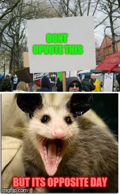 Is it really opposite day or I just wanted to troll everyone? Y'all can discuss that in the comments.  | DONT UPVOTE THIS; BUT ITS OPPOSITE DAY | image tagged in opossum,blank protest sign,opposite day,upvotes | made w/ Imgflip meme maker