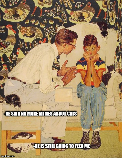 The Problem Is Meme | -HE SAID NO MORE MEMES ABOUT CATS; -HE IS STILL GOING TO FEED ME | image tagged in memes,the probelm is | made w/ Imgflip meme maker