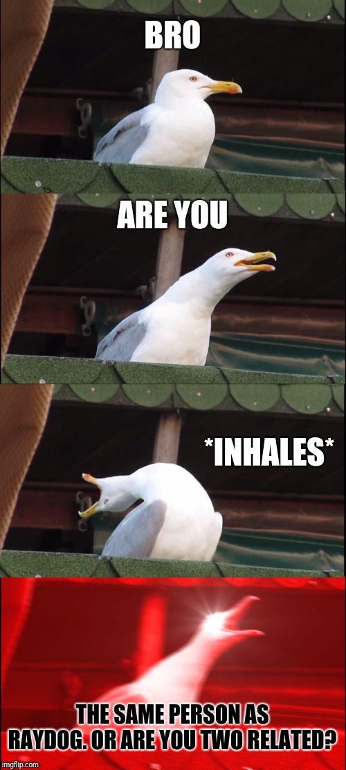 Inhaling Seagull Meme | BRO ARE YOU *INHALES* THE SAME PERSON AS RAYDOG. OR ARE YOU TWO RELATED? | image tagged in memes,inhaling seagull | made w/ Imgflip meme maker