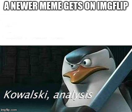 this isnt the only meme | A NEWER MEME GETS ON IMGFLIP | image tagged in kowalski analysis,meme,new | made w/ Imgflip meme maker