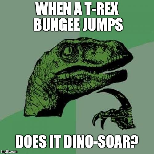 Philosoraptor Meme | WHEN A T-REX BUNGEE JUMPS; DOES IT DINO-SOAR? | image tagged in memes,philosoraptor | made w/ Imgflip meme maker