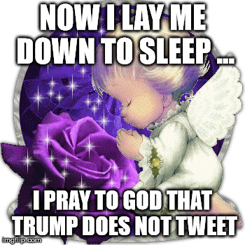 New Nightly Prayer | NOW I LAY ME DOWN TO SLEEP ... I PRAY TO GOD THAT TRUMP DOES NOT TWEET | image tagged in trump,dump trump,god bless america | made w/ Imgflip meme maker