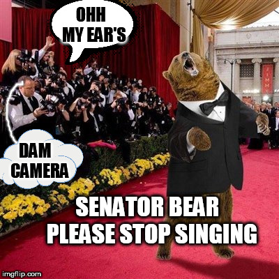 OHH  MY EAR'S; DAM   CAMERA; SENATOR BEAR  PLEASE STOP SINGING | made w/ Imgflip meme maker