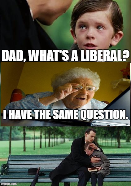 Finding Neverland | DAD, WHAT'S A LIBERAL? I HAVE THE SAME QUESTION. | image tagged in memes,finding neverland | made w/ Imgflip meme maker