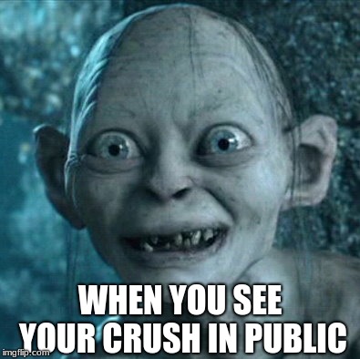 When you see your crush in public | WHEN YOU SEE YOUR CRUSH IN PUBLIC | image tagged in memes,gollum | made w/ Imgflip meme maker