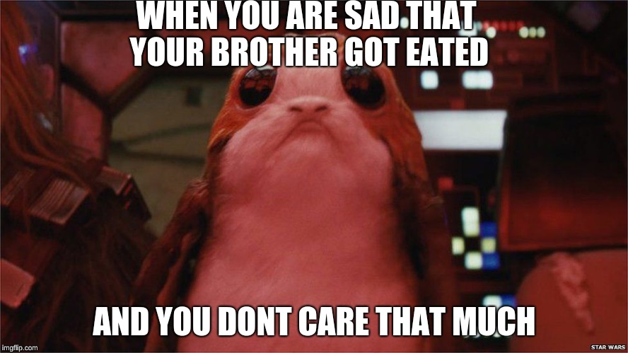 Porg Meme | WHEN YOU ARE SAD THAT YOUR BROTHER GOT EATED; AND YOU DONT CARE THAT MUCH | image tagged in star wars porg,porg,star wars,star wars the last jedi | made w/ Imgflip meme maker