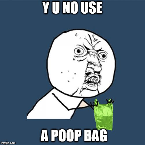 Y U No Meme | Y U NO USE A POOP BAG | image tagged in memes,y u no | made w/ Imgflip meme maker