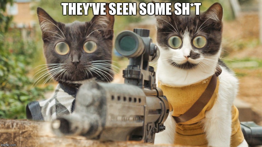 THEY'VE SEEN SOME SH*T | image tagged in abc lol | made w/ Imgflip meme maker