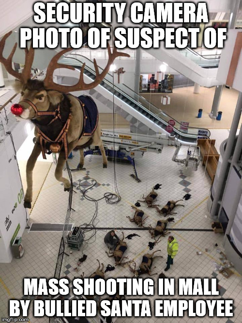 SECURITY CAMERA PHOTO OF SUSPECT OF; MASS SHOOTING IN MALL BY BULLIED SANTA EMPLOYEE | image tagged in rudolpf | made w/ Imgflip meme maker