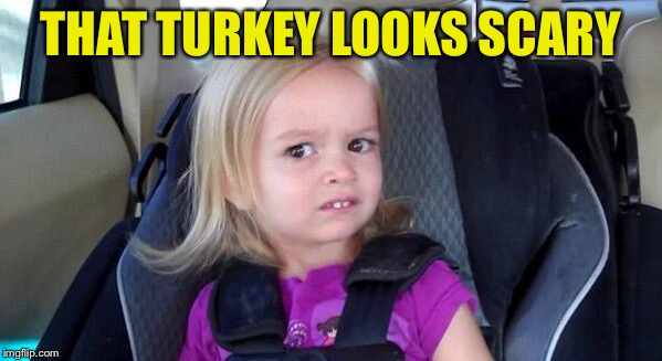 wtf girl | THAT TURKEY LOOKS SCARY | image tagged in wtf girl | made w/ Imgflip meme maker