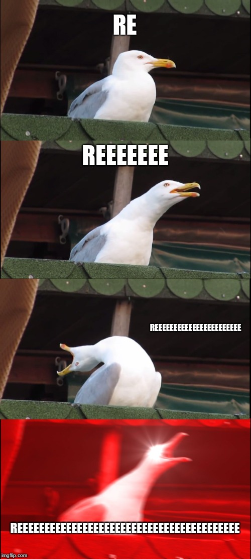 Inhaling Seagull | RE; REEEEEEE; REEEEEEEEEEEEEEEEEEEEEEE; REEEEEEEEEEEEEEEEEEEEEEEEEEEEEEEEEEEEEEEEE | image tagged in memes,inhaling seagull | made w/ Imgflip meme maker
