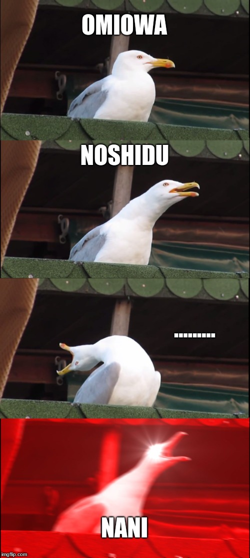 Inhaling Seagull | OMIOWA; NOSHIDU; ......... NANI | image tagged in memes,inhaling seagull | made w/ Imgflip meme maker