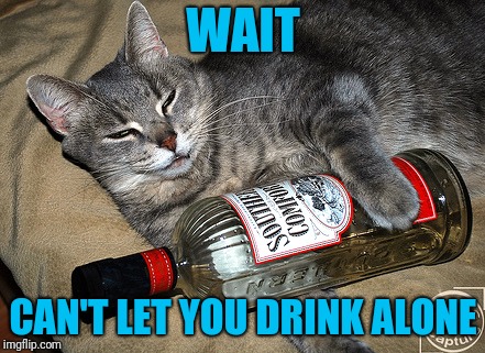cat and liquor | WAIT CAN'T LET YOU DRINK ALONE | image tagged in cat and liquor | made w/ Imgflip meme maker