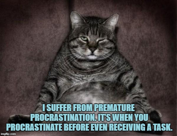 Lazy Cat | I SUFFER FROM PREMATURE PROCRASTINATION. IT’S WHEN YOU PROCRASTINATE BEFORE EVEN RECEIVING A TASK. | image tagged in lazy cat,funny,memes,funny memes | made w/ Imgflip meme maker