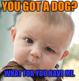 Skeptical baby | YOU GOT A DOG? WHAT FOR YOU HAVE ME. | image tagged in memes,skeptical baby | made w/ Imgflip meme maker