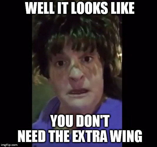 MCSCUSE ME!!! | WELL IT LOOKS LIKE; YOU DON'T NEED THE EXTRA WING | image tagged in mcscuse me bitch | made w/ Imgflip meme maker