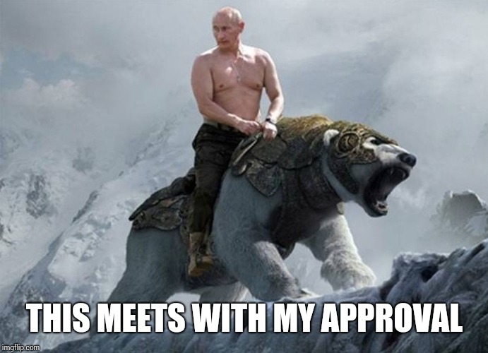 THIS MEETS WITH MY APPROVAL | image tagged in putin polar bear | made w/ Imgflip meme maker