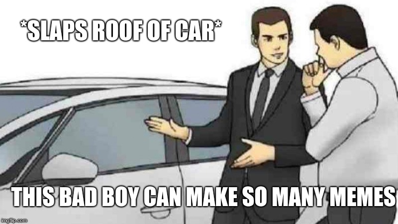 Car Salesman Slaps Roof Of Car | *SLAPS ROOF OF CAR*; THIS BAD BOY CAN MAKE SO MANY MEMES | image tagged in memes,car salesman slaps roof of car | made w/ Imgflip meme maker