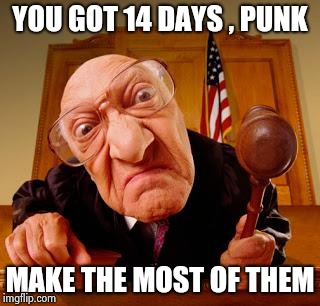 Mean Judge | YOU GOT 14 DAYS , PUNK MAKE THE MOST OF THEM | image tagged in mean judge | made w/ Imgflip meme maker