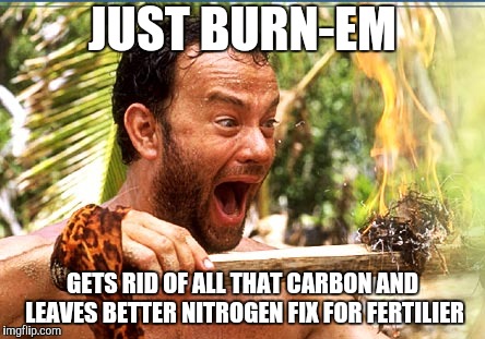 Castaway Fire Meme | JUST BURN-EM GETS RID OF ALL THAT CARBON AND LEAVES BETTER NITROGEN FIX FOR FERTILIER | image tagged in memes,castaway fire | made w/ Imgflip meme maker