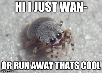 HI I JUST WAN-; OR RUN AWAY THATS COOL | image tagged in le spider | made w/ Imgflip meme maker