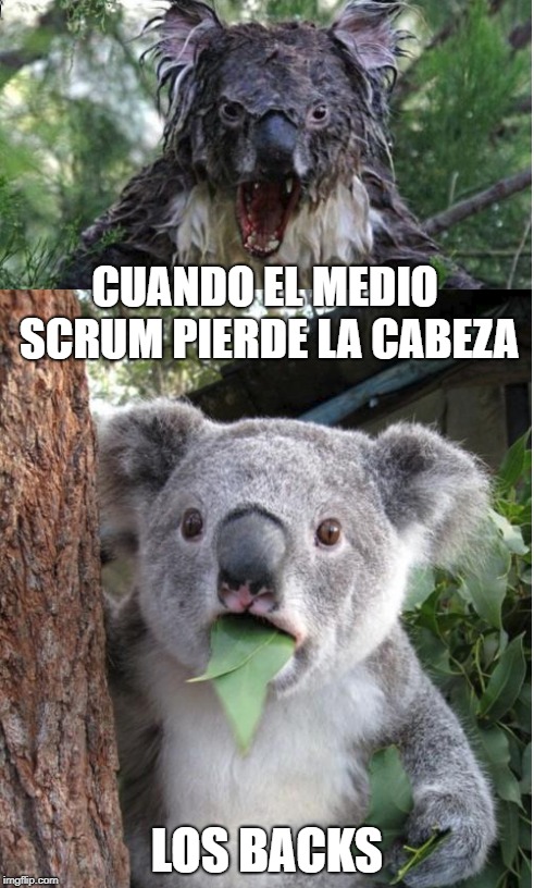 MEDIO SCRUM | CUANDO EL MEDIO SCRUM PIERDE LA CABEZA; LOS BACKS | image tagged in rugby,sport | made w/ Imgflip meme maker