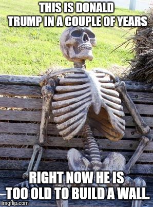 Waiting Skeleton Meme | THIS IS DONALD TRUMP IN A COUPLE OF YEARS; RIGHT NOW HE IS TOO OLD TO BUILD A WALL. | image tagged in memes,waiting skeleton | made w/ Imgflip meme maker