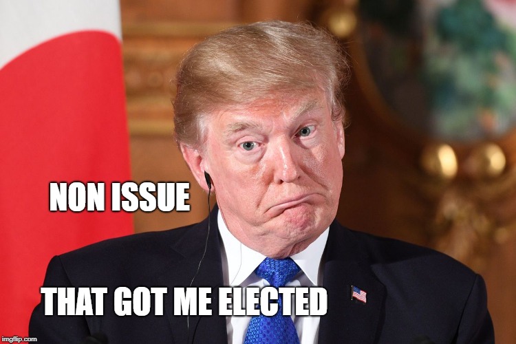 Trump dumbfounded | NON ISSUE THAT GOT ME ELECTED | image tagged in trump dumbfounded | made w/ Imgflip meme maker