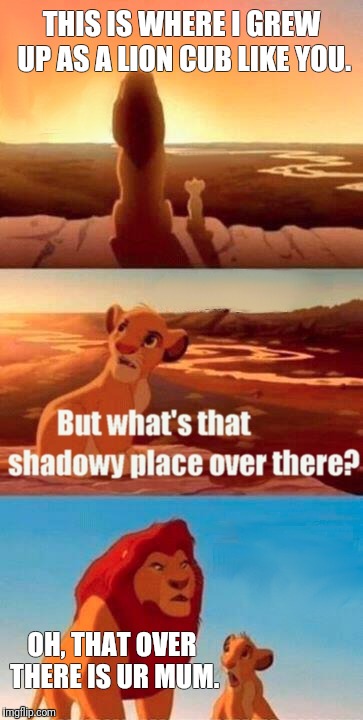 Simba Shadowy Place | THIS IS WHERE I GREW UP AS A LION CUB LIKE YOU. OH, THAT OVER THERE IS UR MUM. | image tagged in memes,simba shadowy place | made w/ Imgflip meme maker