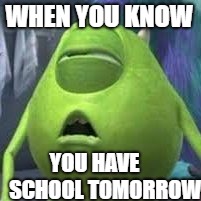 WHEN YOU KNOW; YOU HAVE     SCHOOL TOMORROW | image tagged in mike | made w/ Imgflip meme maker