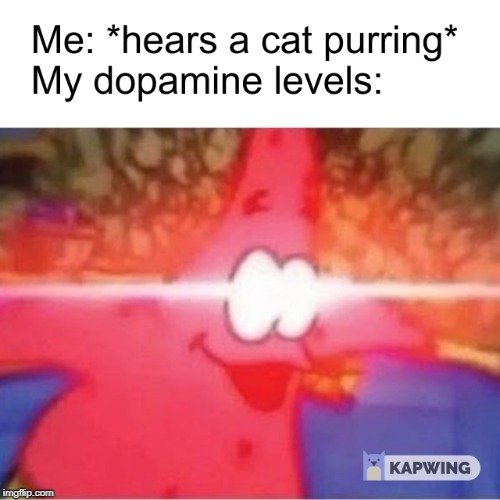 the mysteries of the human brain | image tagged in patrick star,relatable | made w/ Imgflip meme maker