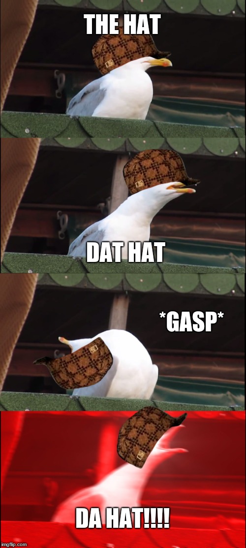Inhaling Seagull | THE HAT; DAT HAT; *GASP*; DA HAT!!!! | image tagged in memes,inhaling seagull,scumbag | made w/ Imgflip meme maker