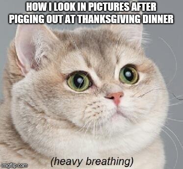 Heavy Breathing Cat | HOW I LOOK IN PICTURES AFTER PIGGING OUT AT THANKSGIVING DINNER | image tagged in memes,heavy breathing cat | made w/ Imgflip meme maker