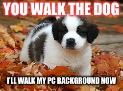 When you walk the dog | YOU WALK THE DOG; I’LL WALK MY PC BACKGROUND NOW | image tagged in puppy pc background,puppy,dogs | made w/ Imgflip meme maker