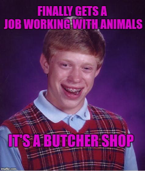 Remember, if you love what you do, you'll never work a day in your life.  | FINALLY GETS A JOB WORKING WITH ANIMALS; IT'S A BUTCHER SHOP | image tagged in memes,bad luck brian,animal lover,cats,dogs,nature | made w/ Imgflip meme maker