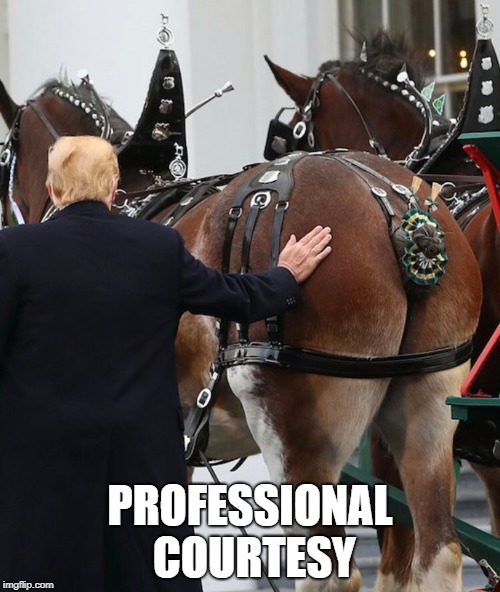 PROFESSIONAL COURTESY | image tagged in political | made w/ Imgflip meme maker