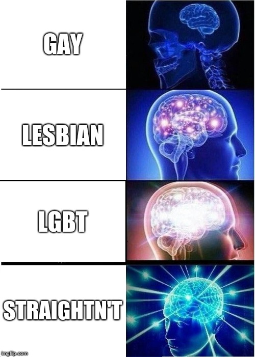 Expanding Brain | GAY; LESBIAN; LGBT; STRAIGHTN'T | image tagged in memes,expanding brain | made w/ Imgflip meme maker