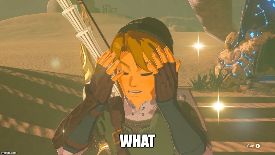 Link WTF | WHAT | image tagged in link wtf | made w/ Imgflip meme maker