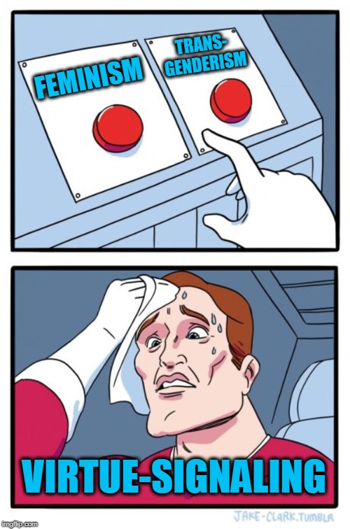 Two Buttons | TRANS- GENDERISM; FEMINISM; VIRTUE-SIGNALING | image tagged in memes,two buttons | made w/ Imgflip meme maker