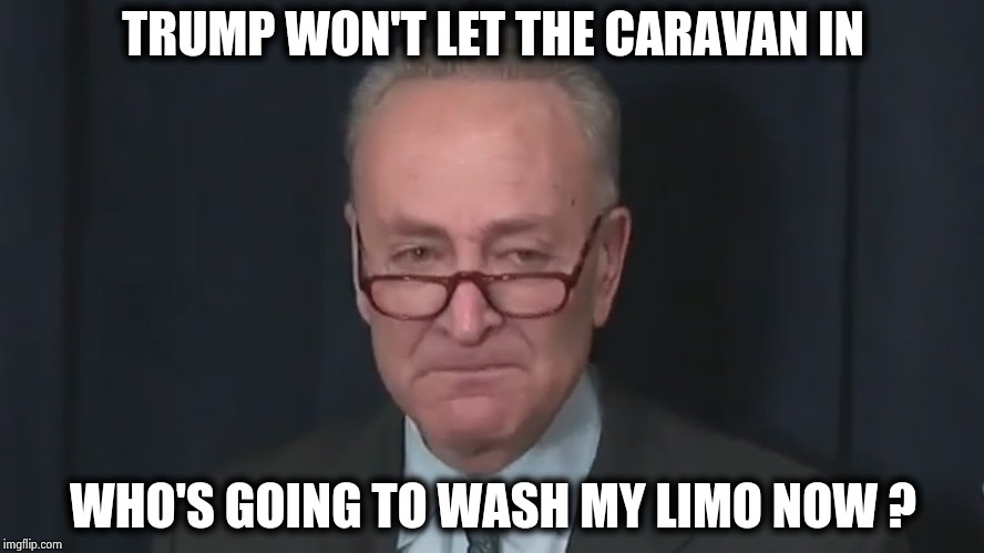 "Throughout the history of man there have always been disposable people"- Gene Roddenberry | TRUMP WON'T LET THE CARAVAN IN; WHO'S GOING TO WASH MY LIMO NOW ? | image tagged in chuck schumer crying,illegal immigration,crying democrats,your country needs you,whining | made w/ Imgflip meme maker