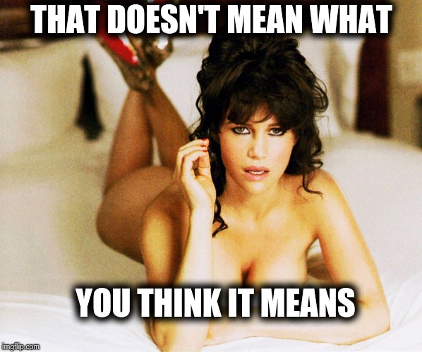 Carla Gugino | THAT DOESN'T MEAN WHAT YOU THINK IT MEANS | image tagged in carla gugino | made w/ Imgflip meme maker