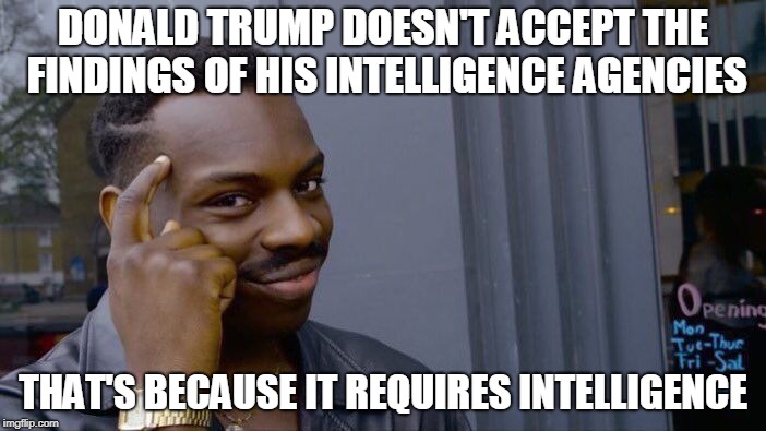 Roll Safe Think About It | DONALD TRUMP DOESN'T ACCEPT THE FINDINGS OF HIS INTELLIGENCE AGENCIES; THAT'S BECAUSE IT REQUIRES INTELLIGENCE | image tagged in memes,roll safe think about it | made w/ Imgflip meme maker