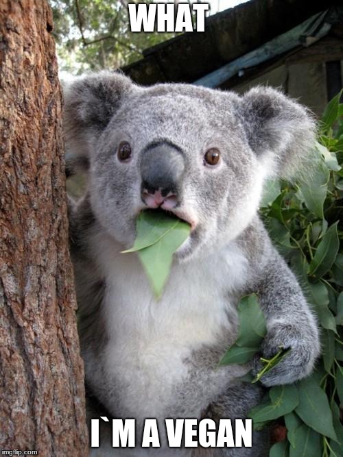 Surprised Koala | WHAT; I`M A VEGAN | image tagged in memes,surprised koala | made w/ Imgflip meme maker