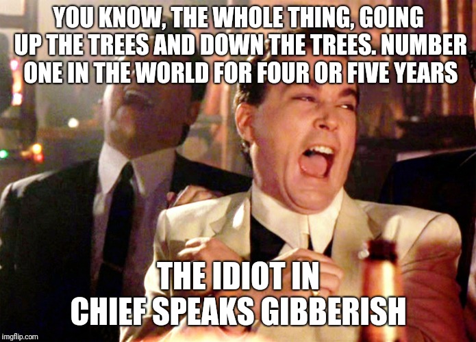 Good Fellas Hilarious | YOU KNOW, THE WHOLE THING, GOING UP THE TREES AND DOWN THE TREES. NUMBER ONE IN THE WORLD FOR FOUR OR FIVE YEARS; THE IDIOT IN CHIEF SPEAKS GIBBERISH | image tagged in memes,good fellas hilarious | made w/ Imgflip meme maker