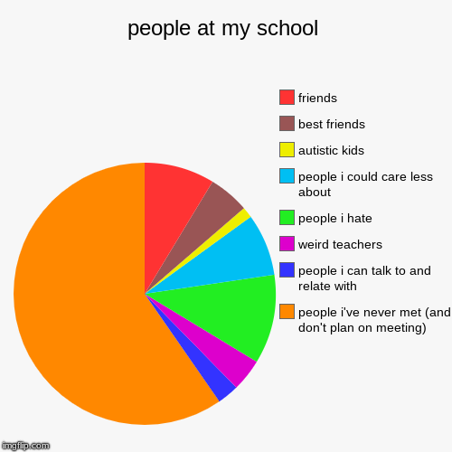 people at my school | people i've never met (and don't plan on meeting), people i can talk to and relate with, weird teachers, people i hate | image tagged in funny,pie charts | made w/ Imgflip chart maker