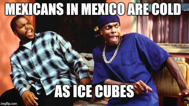 Ice Cube Damn | MEXICANS IN MEXICO ARE COLD; AS ICE CUBES | image tagged in ice cube damn | made w/ Imgflip meme maker
