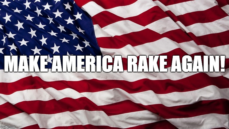 MAKE AMERICA RAKE AGAIN! | image tagged in trump is dumb,trump,make america rake again | made w/ Imgflip meme maker