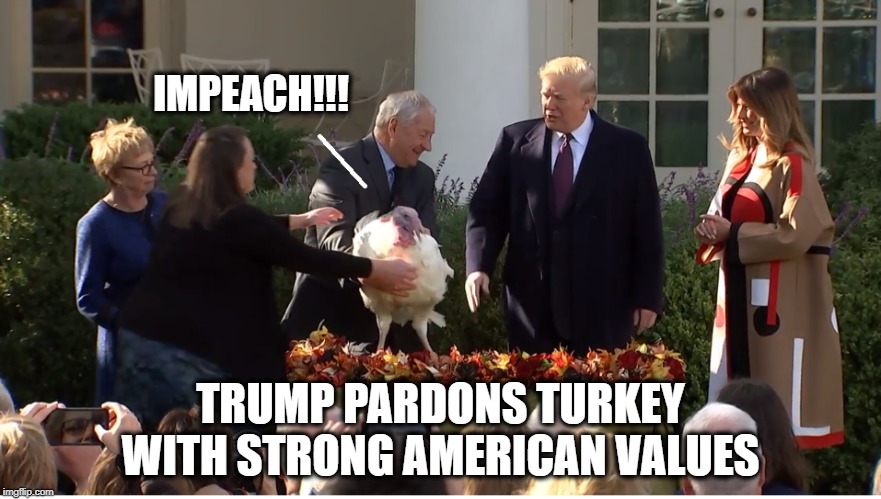 HAPPY THANKSGIVING | IMPEACH!!! TRUMP PARDONS TURKEY WITH STRONG AMERICAN VALUES | image tagged in donald trump,turkey,happy thanksgiving,america | made w/ Imgflip meme maker